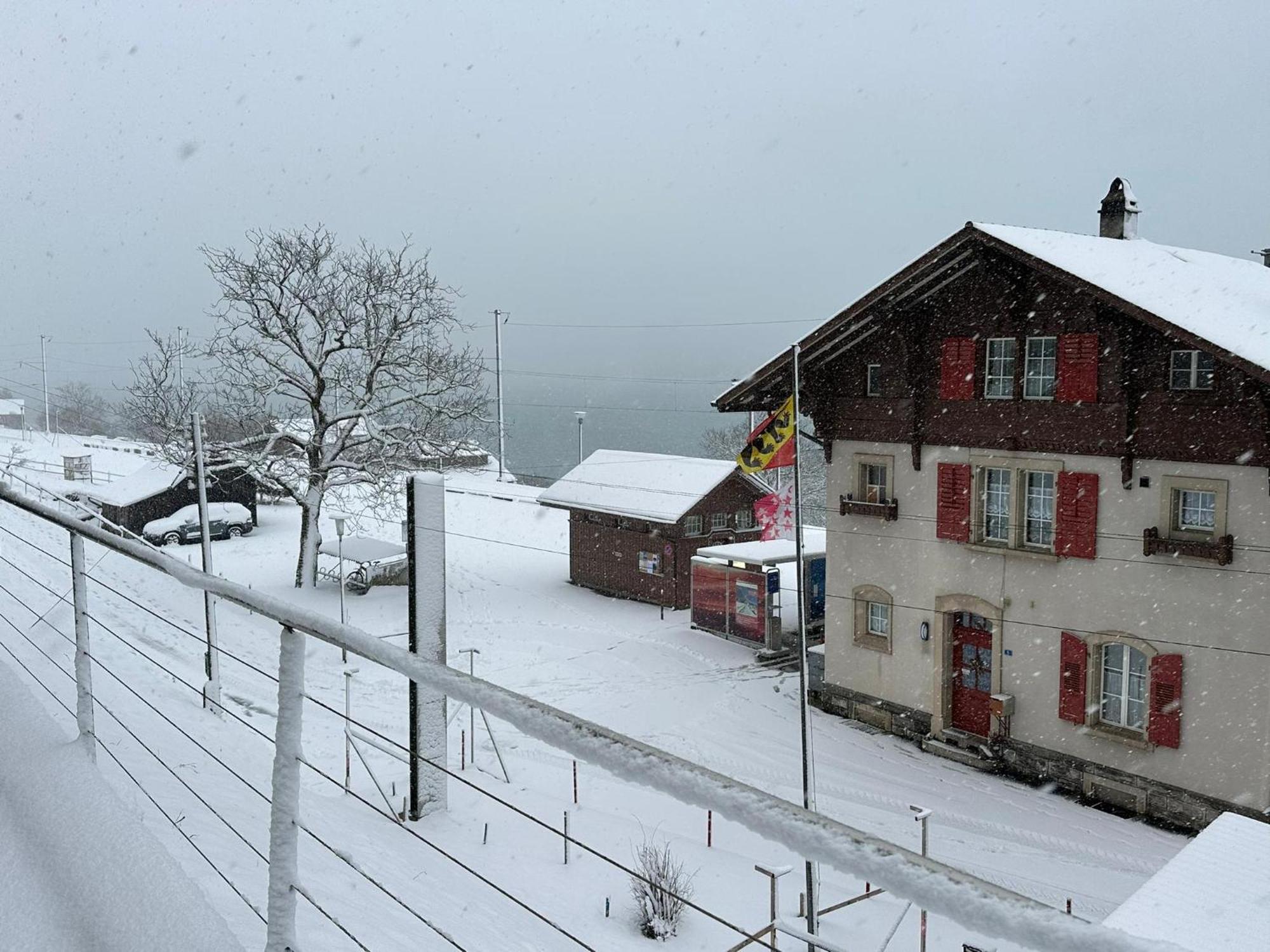 Lake Facing Studio Niederried bei Interlaken Eksteriør bilde