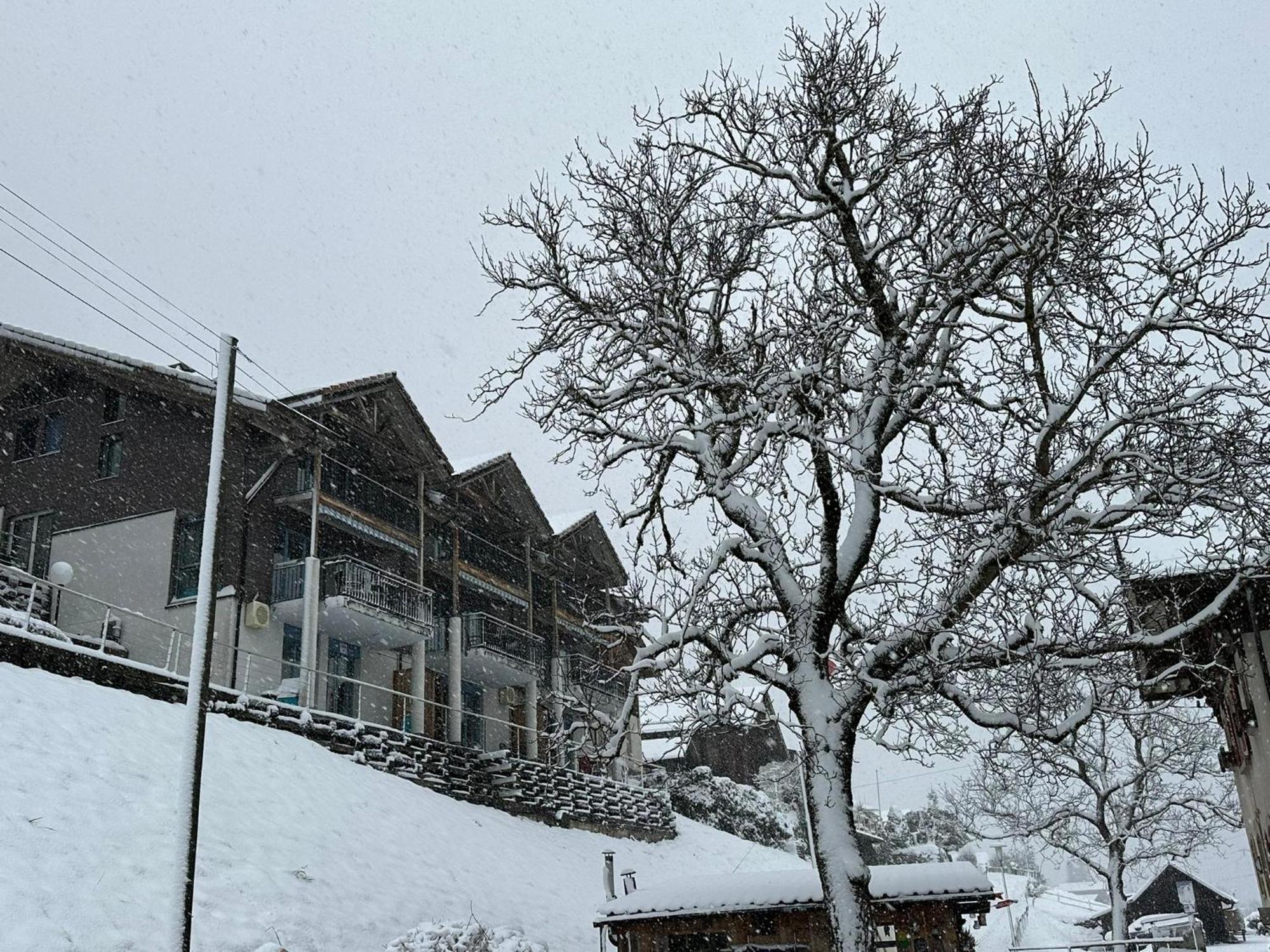 Lake Facing Studio Niederried bei Interlaken Eksteriør bilde